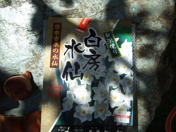 c0039114_155710.jpg