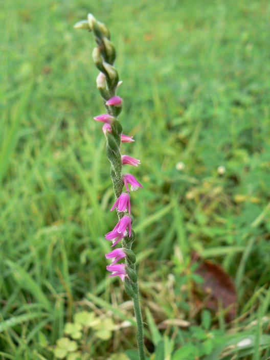 c0086014_21184810.jpg