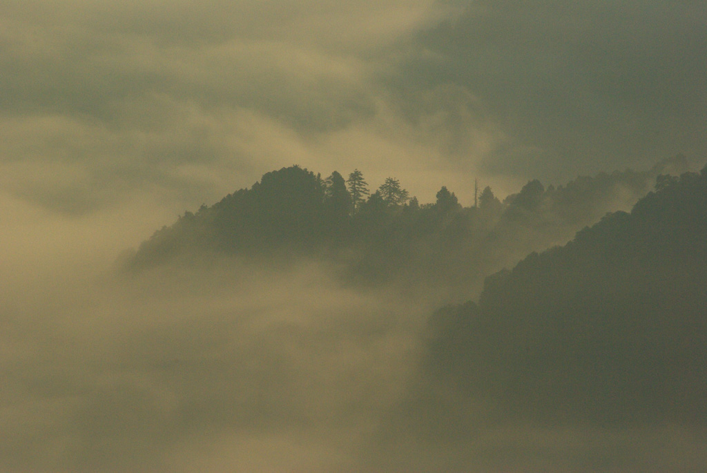 b0062024_21323370.jpg