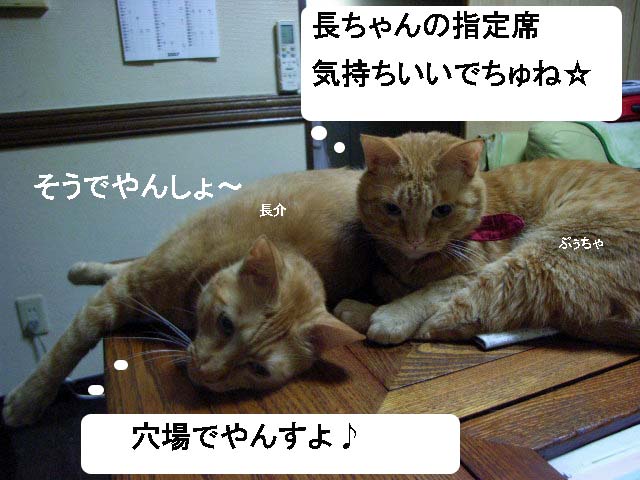 d0081025_2048480.jpg