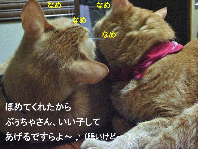 d0081025_2050283.jpg