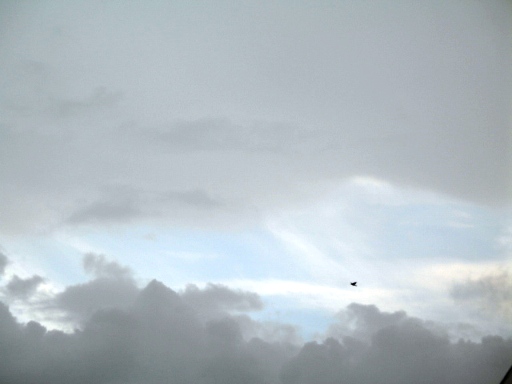 a0043326_19301181.jpg
