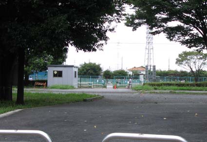 d0109728_8582761.jpg