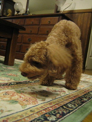 b0054330_0164726.jpg