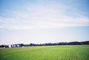 a0031338_1921820.jpg
