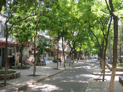 d0085939_22133643.jpg