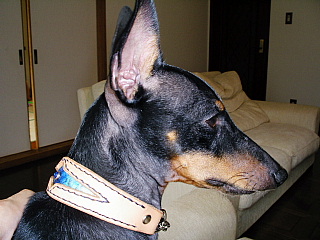 c0123149_14385461.jpg