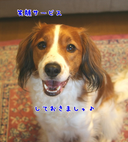 d0013149_281050.jpg