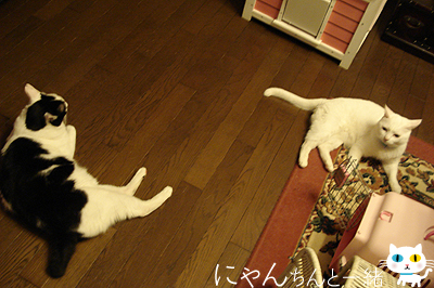 e0031853_1118099.jpg