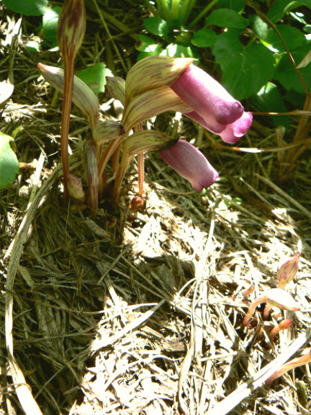 d0091754_05497.jpg