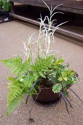 e0025655_5504677.jpg