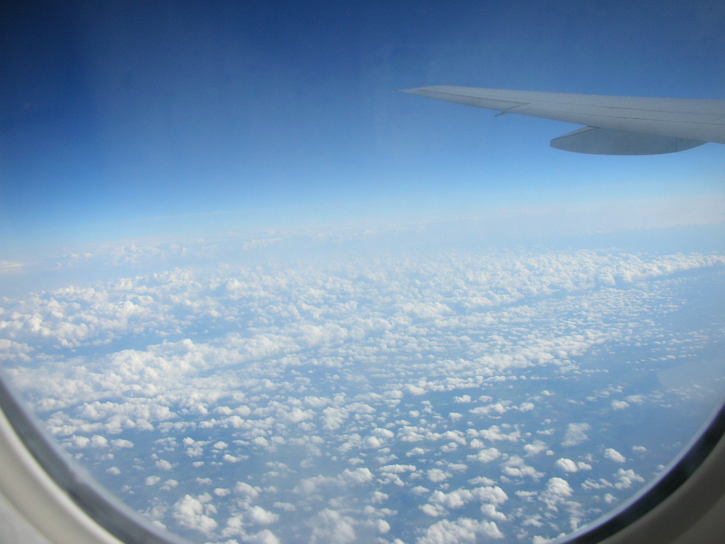 a0061169_1736696.jpg
