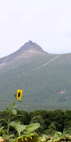 f0092382_13321836.jpg