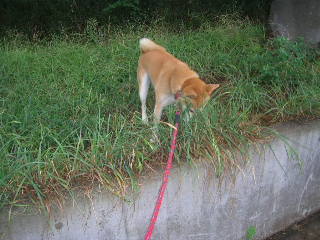 c0123890_20213897.jpg