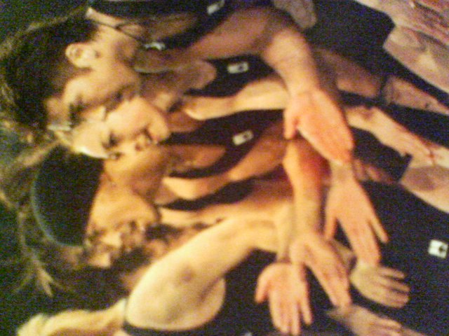 c0119891_2154822.jpg