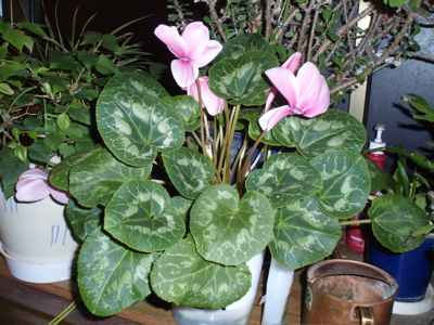f0130894_2229638.jpg
