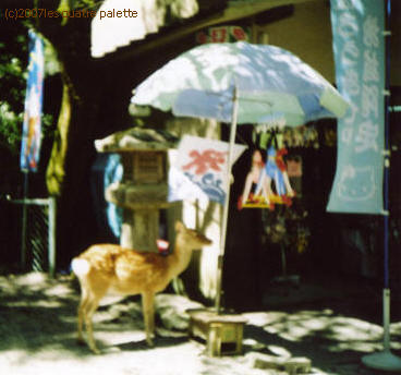 c0098895_21234267.jpg
