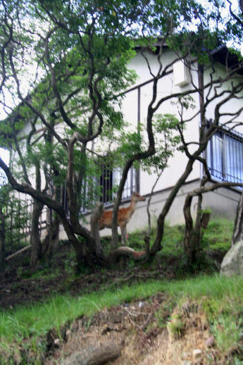 c0098895_21342574.jpg