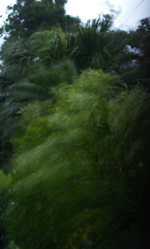 e0089001_20501341.jpg