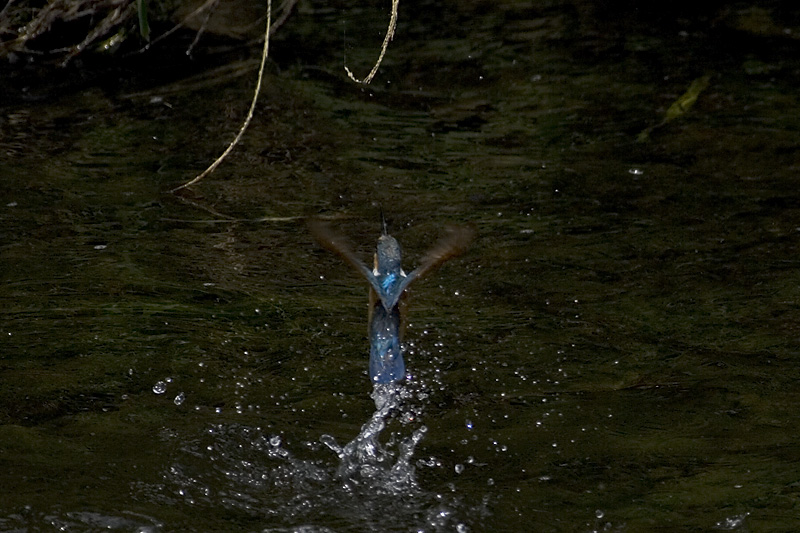 f0063403_22205682.jpg