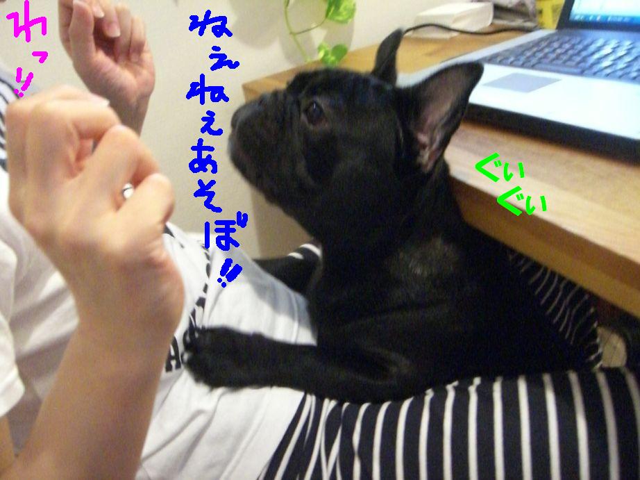 c0113109_23131774.jpg