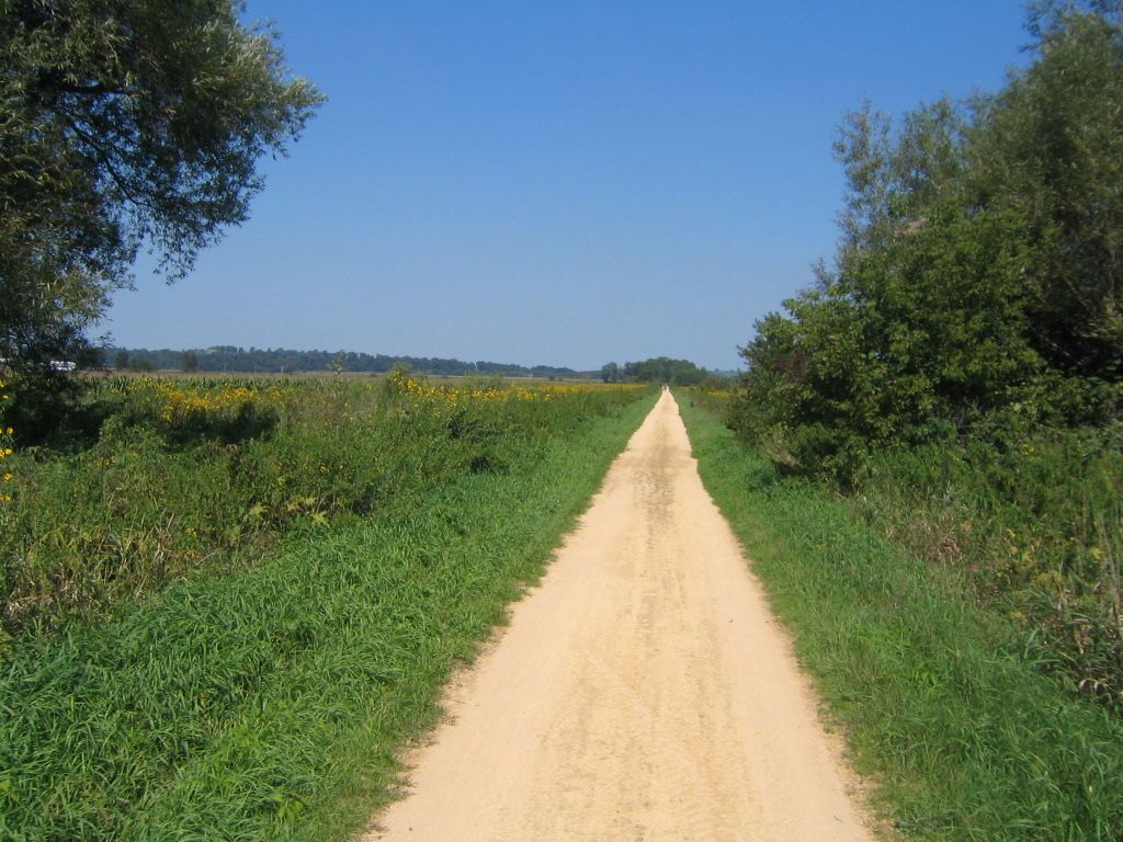 f0102814_8162425.jpg