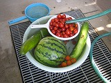 b0026615_1715316.jpg