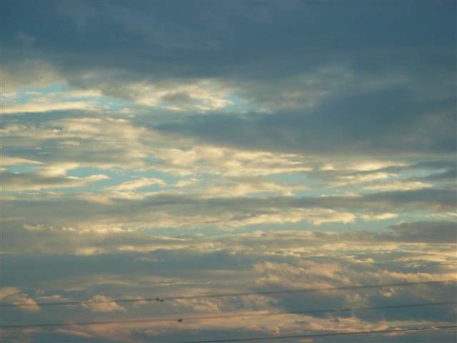 b0102639_21354150.jpg