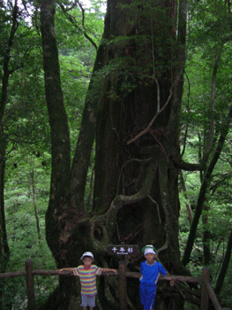 f0007540_15254655.gif