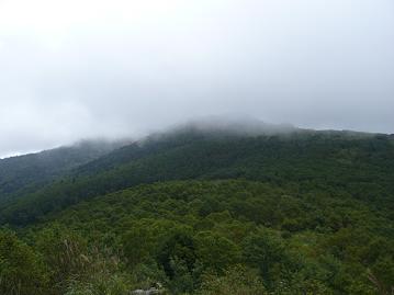 f0065941_17132797.jpg