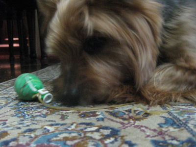 c0033145_230027.jpg