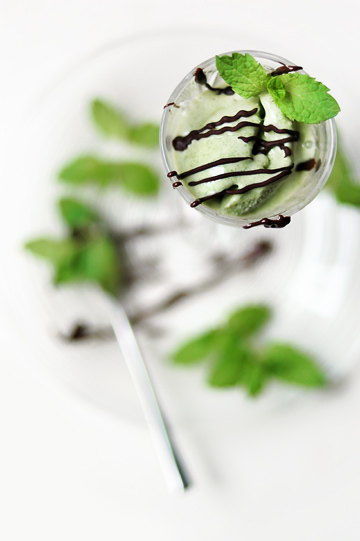 And just as light in texture and rich in taste was this Mint Ice Cream 