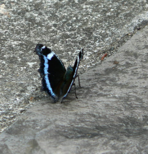 d0091754_18103615.jpg