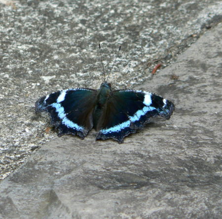 d0091754_18105151.jpg