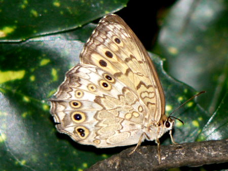 d0091754_18291530.jpg