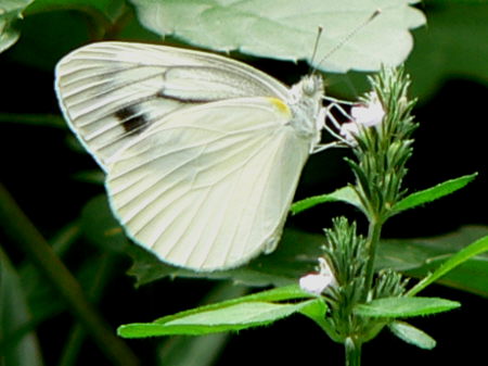 d0091754_2052021.jpg