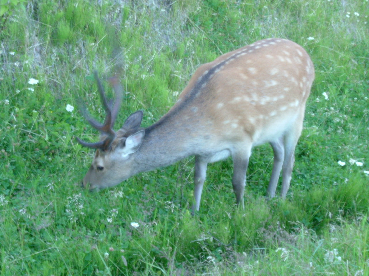 e0016955_1813231.jpg