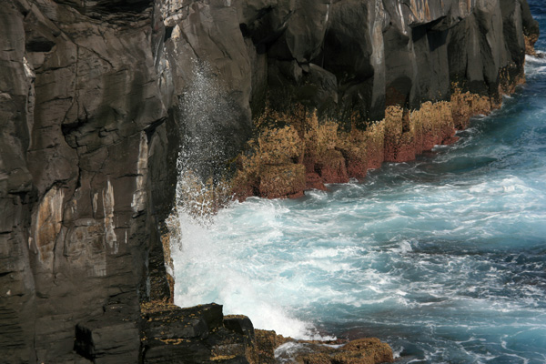 e0122855_14451213.jpg