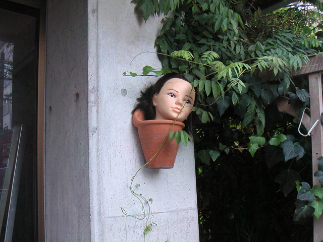 c0004568_214217.jpg