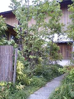 f0050468_1452771.jpg