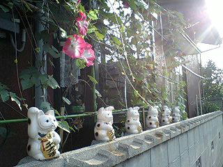 f0050468_153494.jpg