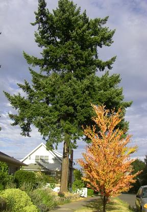 f0112080_4183790.jpg