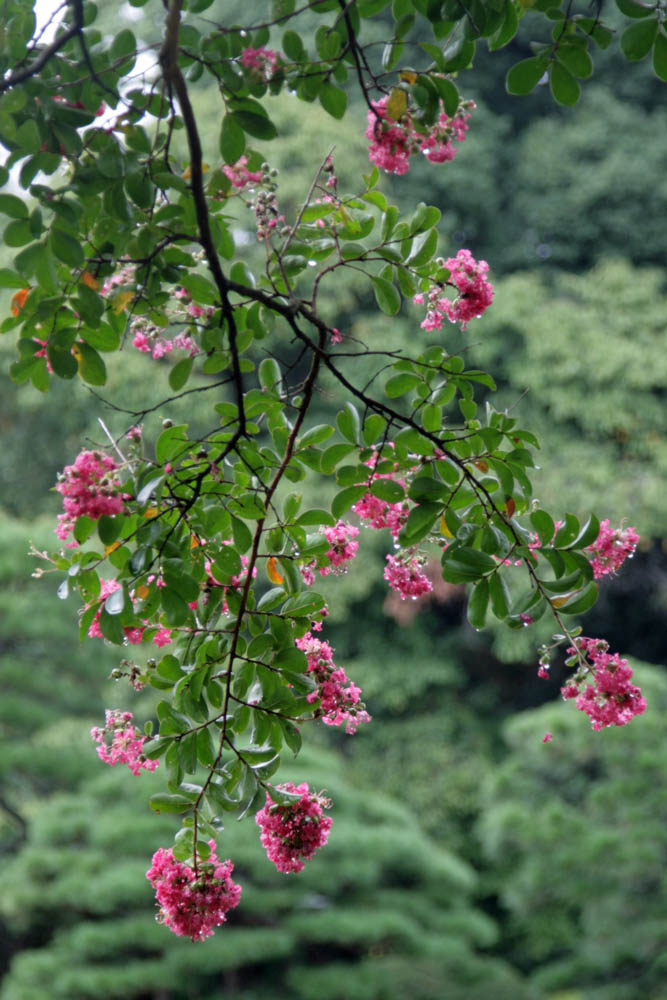 a0083081_16444730.jpg