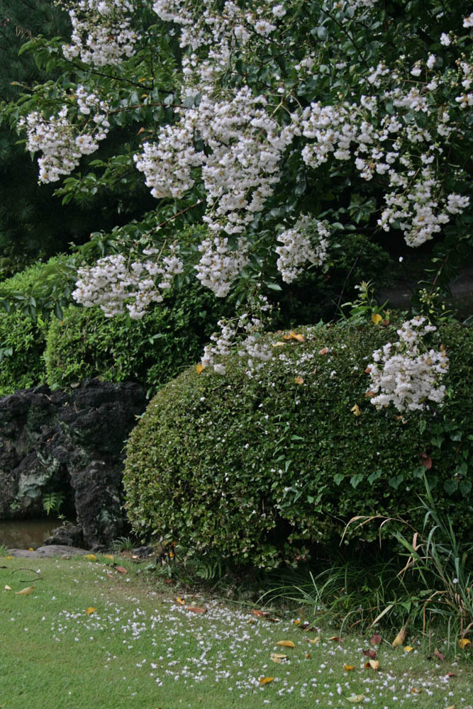a0083081_16445535.jpg