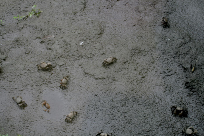 b0089483_10142391.jpg
