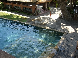 b0101284_081865.jpg