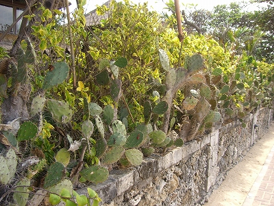 b0101284_23591246.jpg