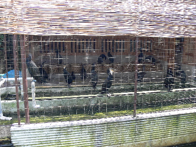 f0103688_884255.jpg