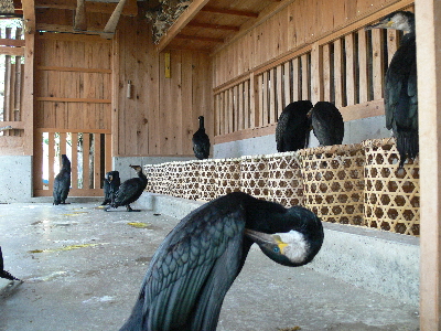f0103688_894414.jpg
