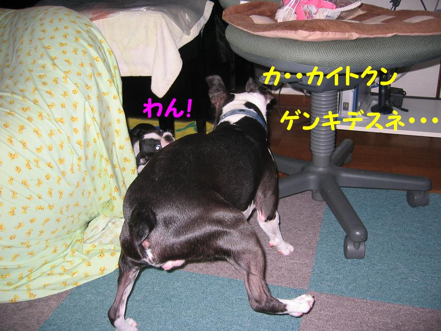 a0080889_0281066.jpg